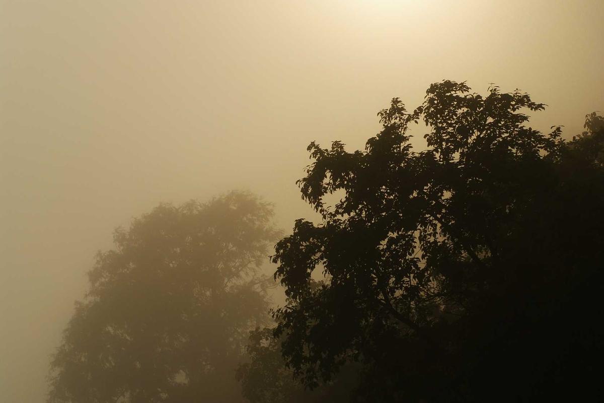 맞춤형 R&D 프로세스